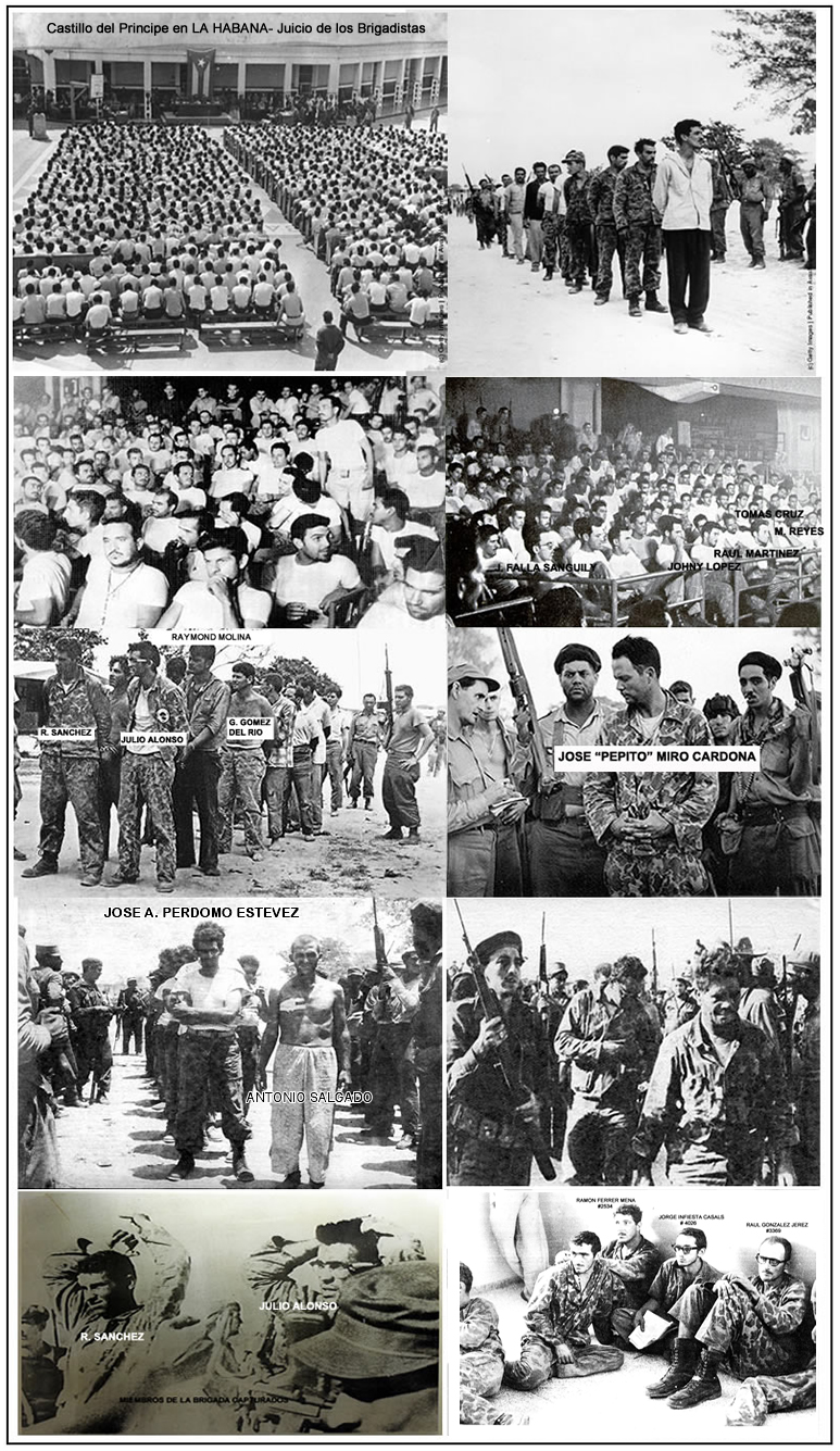 foto de los brigadistas capturados